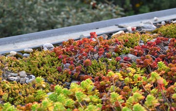 the cost of Taff Merthyr Garden Village green roof installation