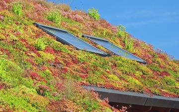 Taff Merthyr Garden Village living roof systems