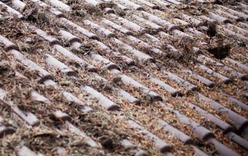 Taff Merthyr Garden Village roof cleaning companies