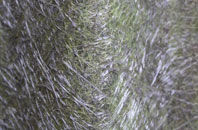 Taff Merthyr Garden Village fibreglass roof work